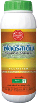 Floristem